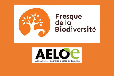 Fresque de la Biodiversité, avec AELOE